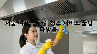 서울 마포구 단기 청소 서비스: 꿀팁 대방출!