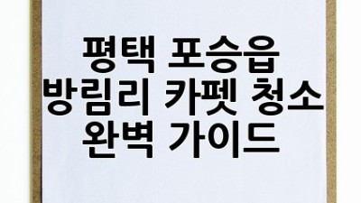 평택 포승읍 방림리 카펫 청소 완벽 가이드 ✨