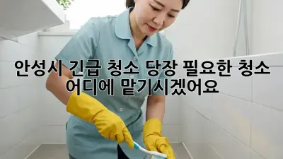 안성시 긴급 청소! 당장 필요한 청소, 어디에 맡기시겠어요?